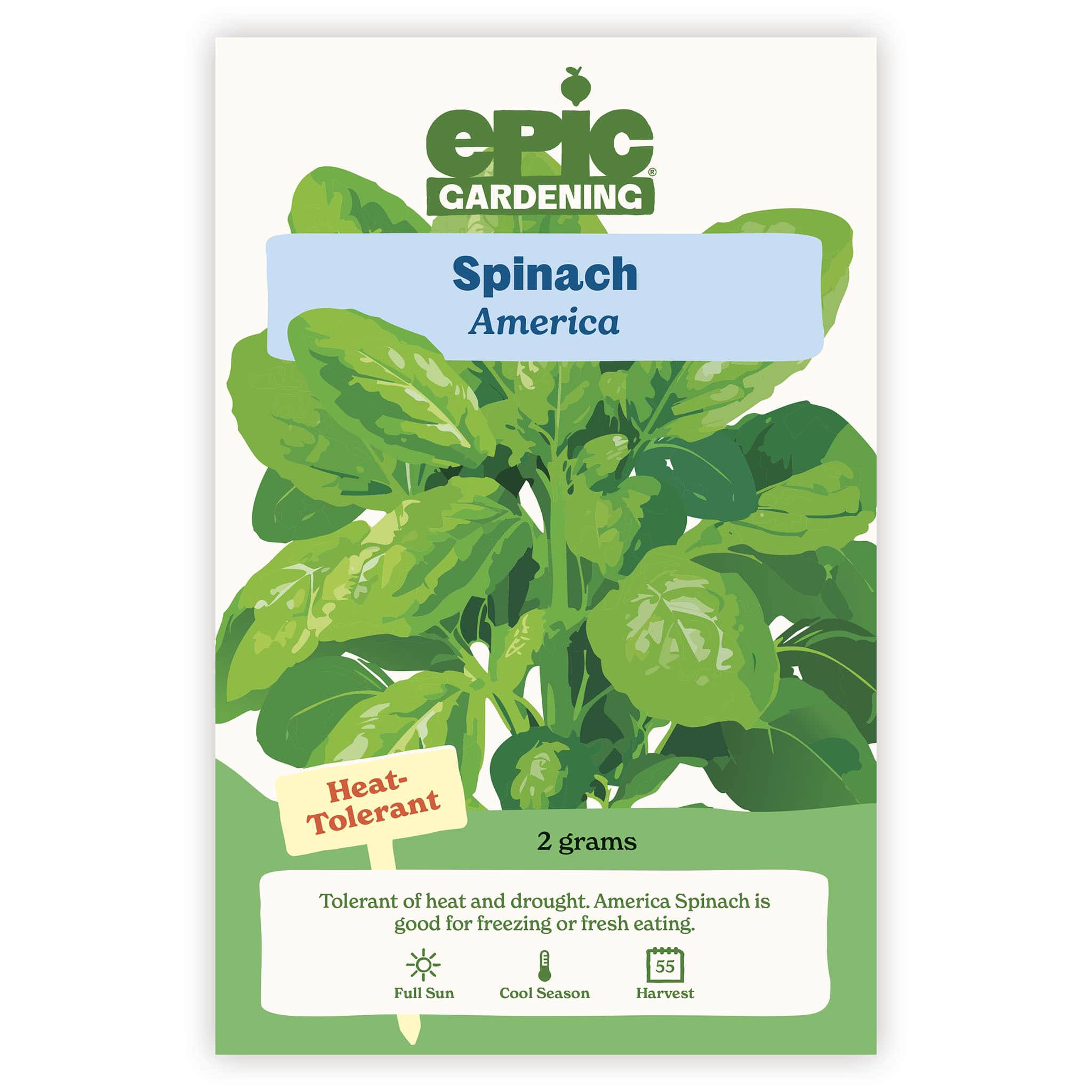 America Spinach