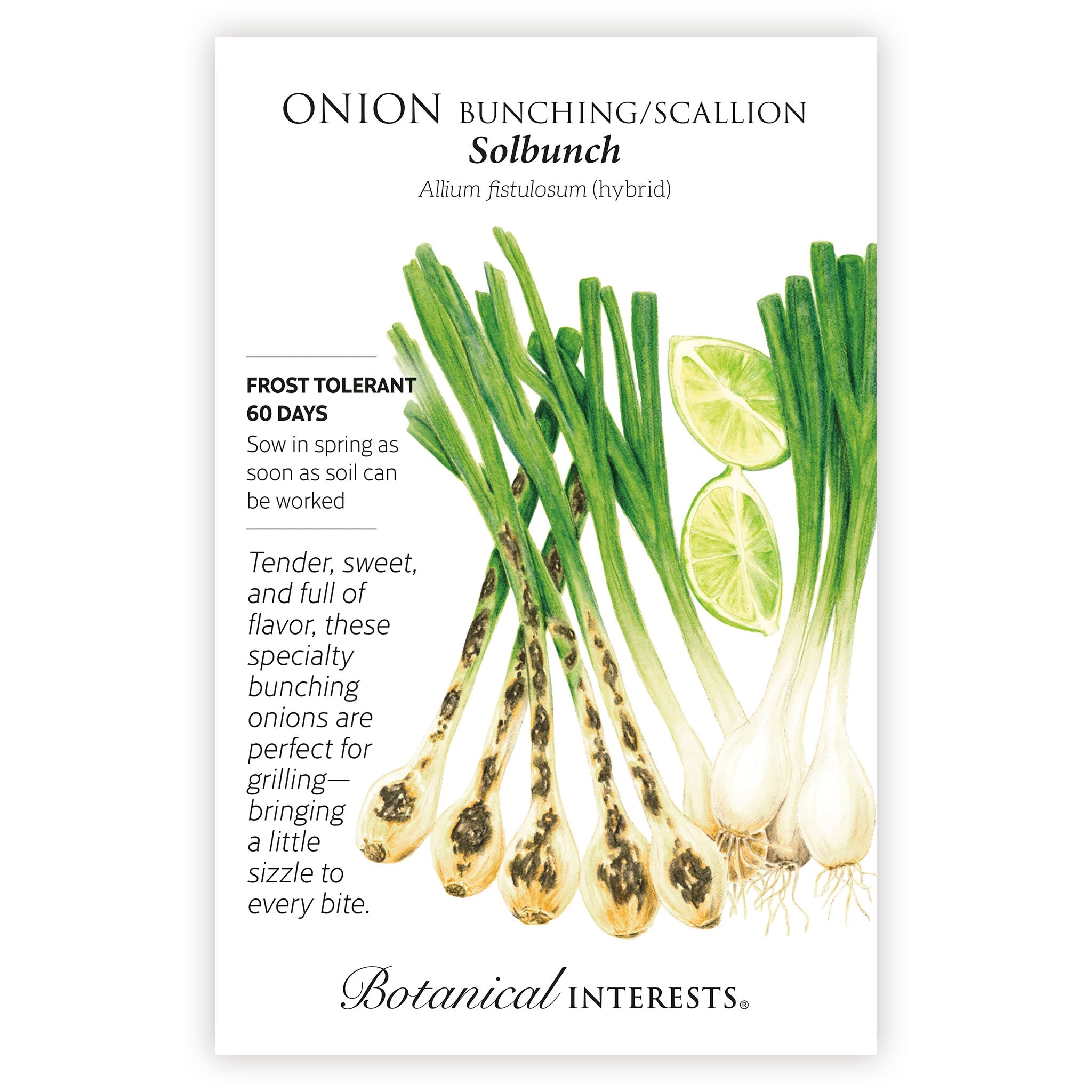 2027 New Varieties Seed Bundle
