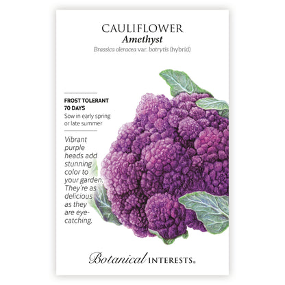 Amethyst Cauliflower Seeds