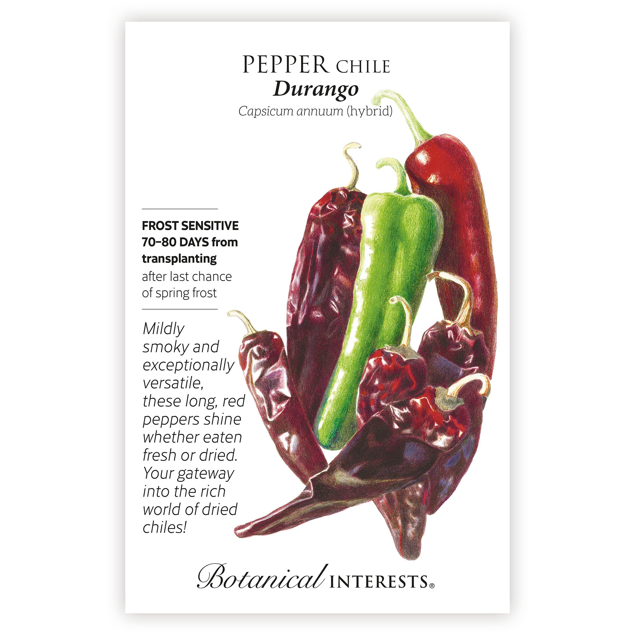 2027 New Varieties Seed Bundle