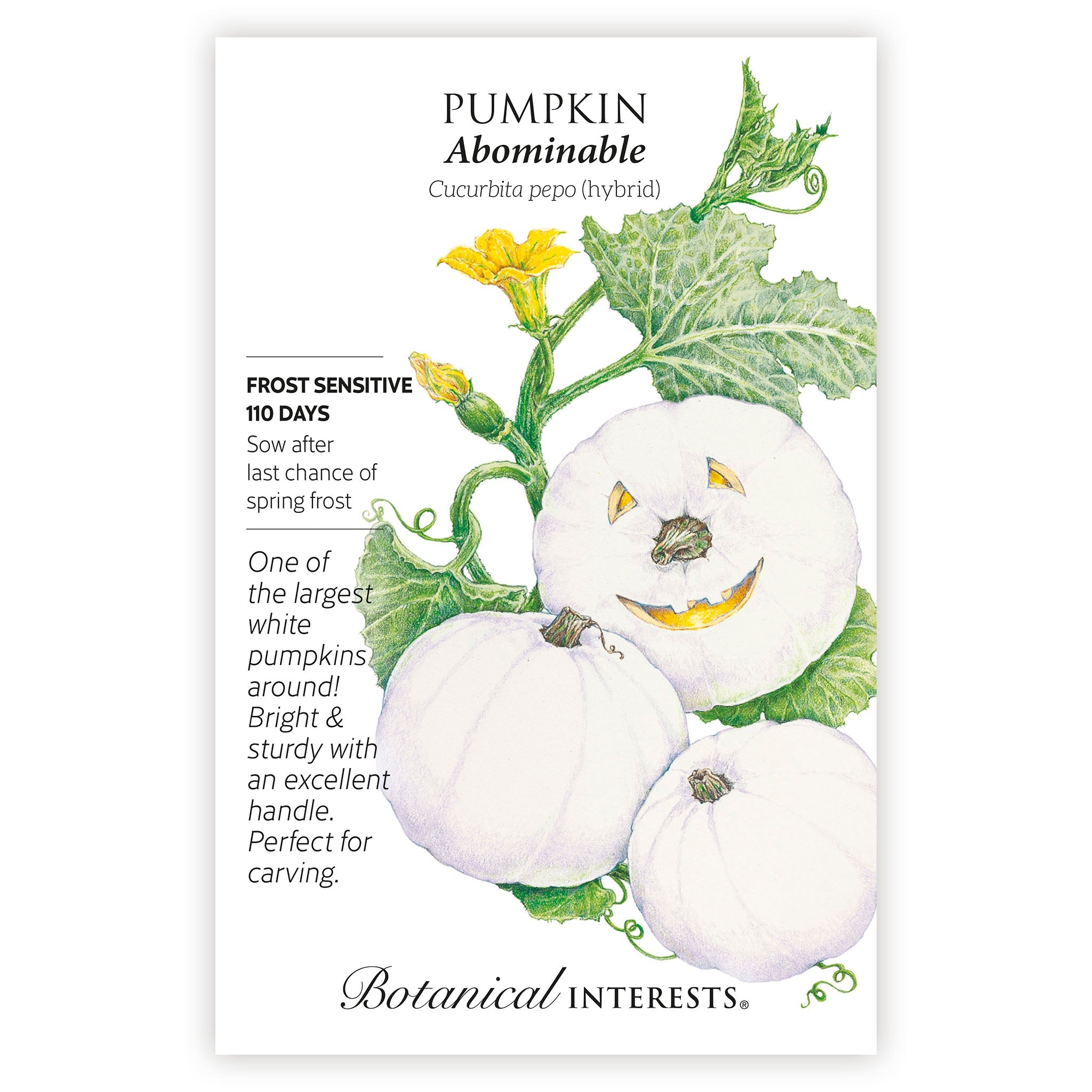 2027 New Varieties Seed Bundle