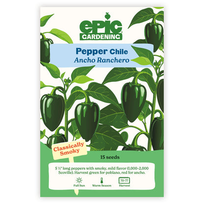 Ancho Ranchero Chile Pepper