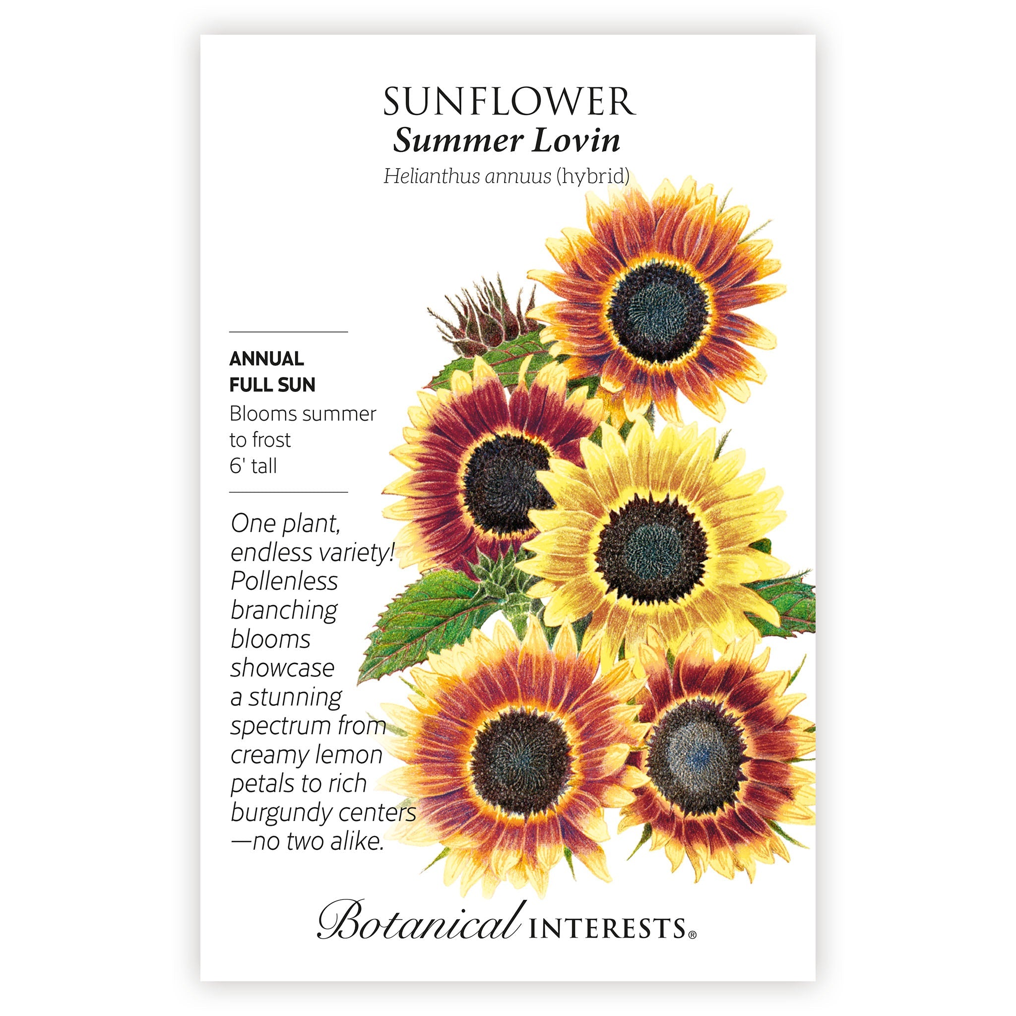 2027 New Varieties Seed Bundle