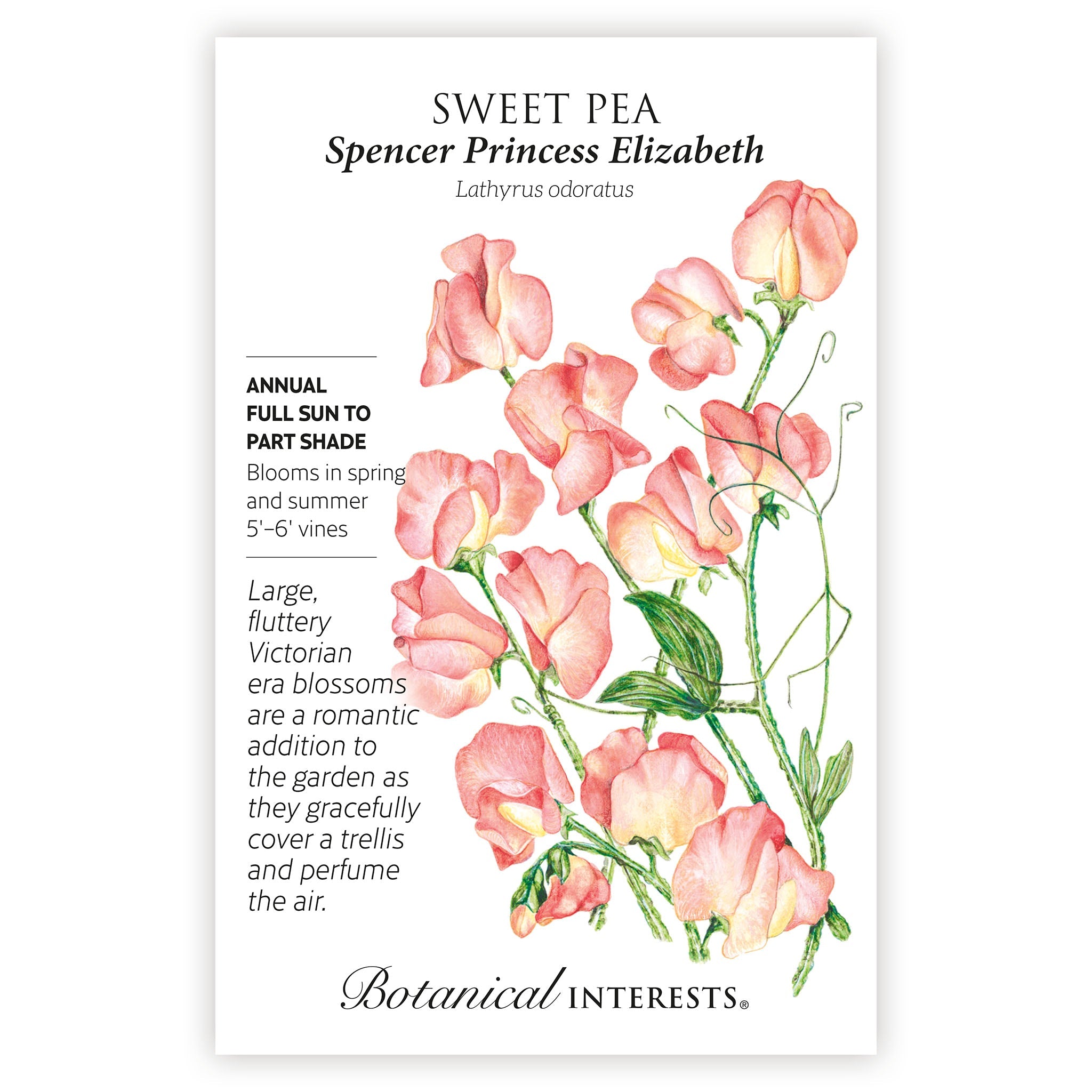 2027 New Varieties Seed Bundle