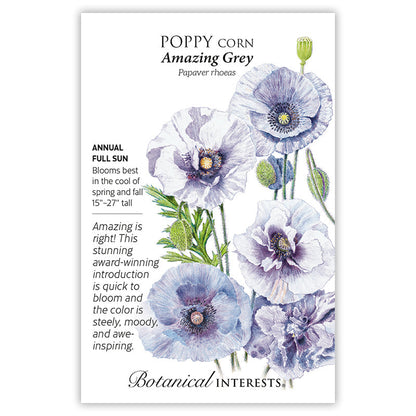 Amazing Grey Corn Poppy Seeds