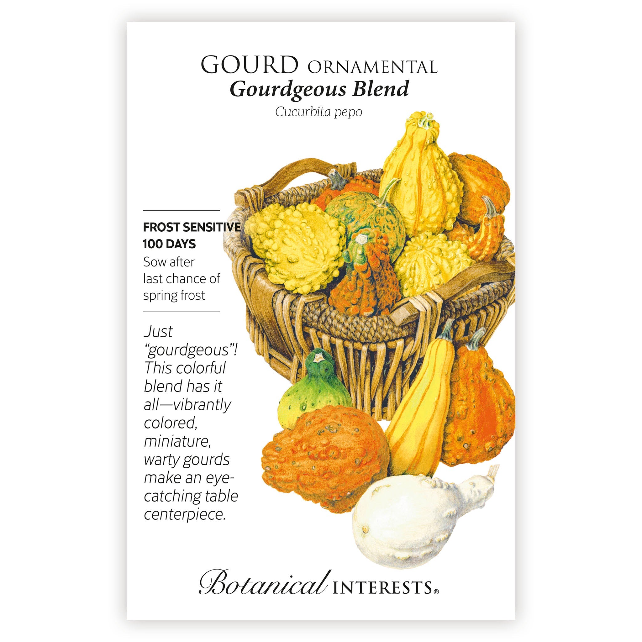 2027 New Varieties Seed Bundle