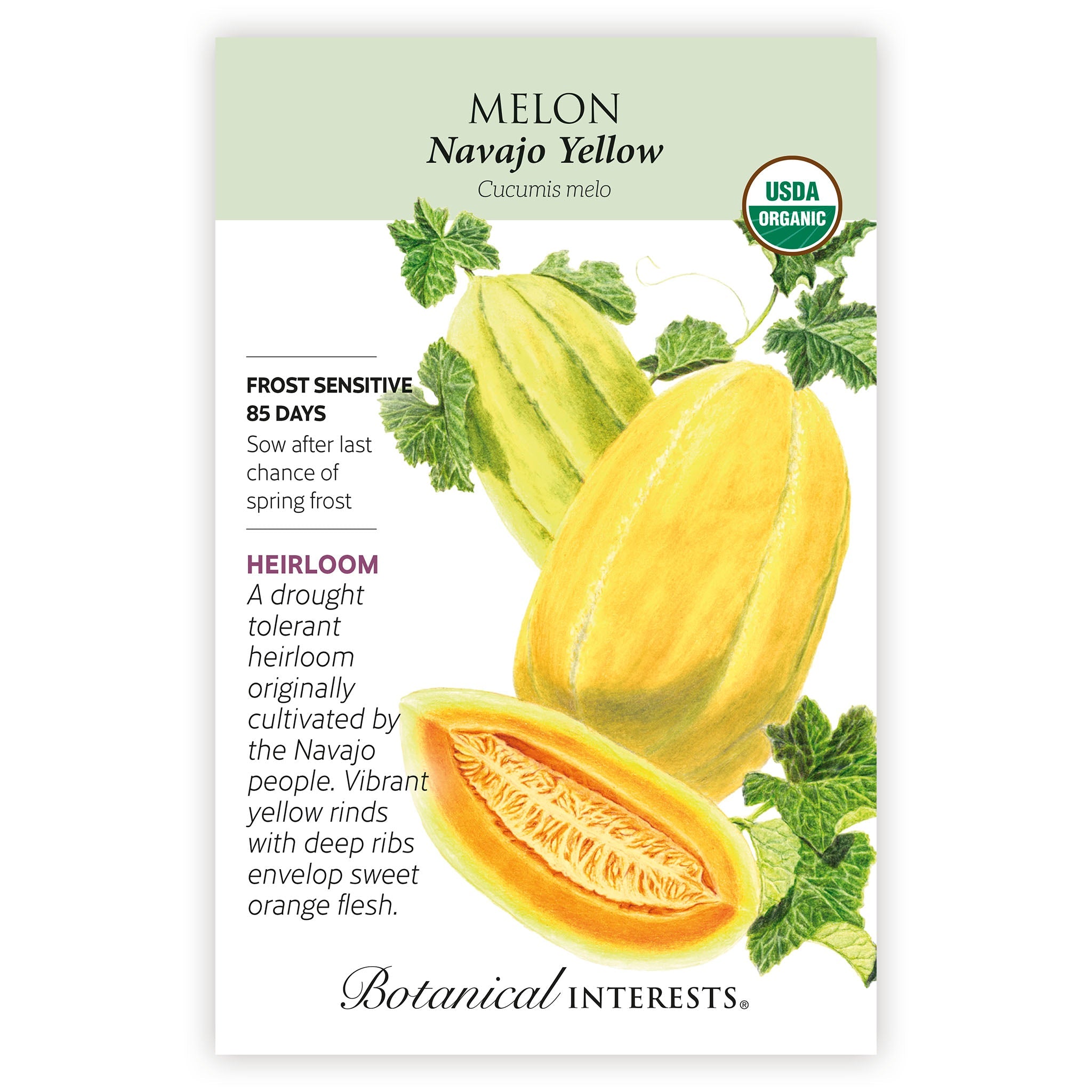 2027 New Varieties Seed Bundle