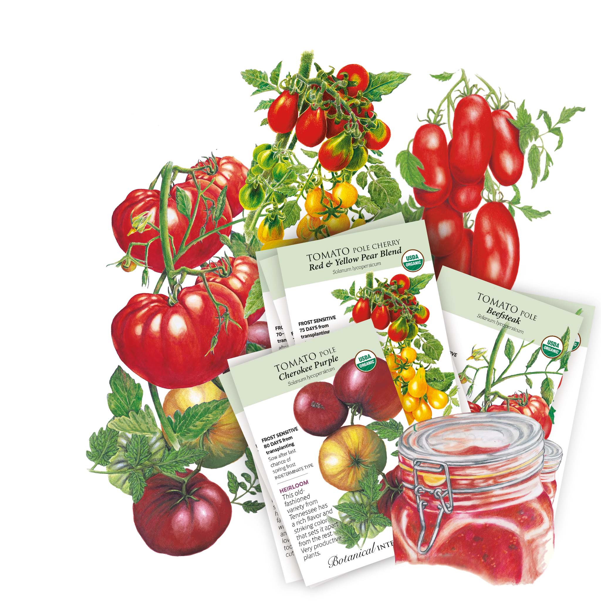 2027 New Varieties Seed Bundle