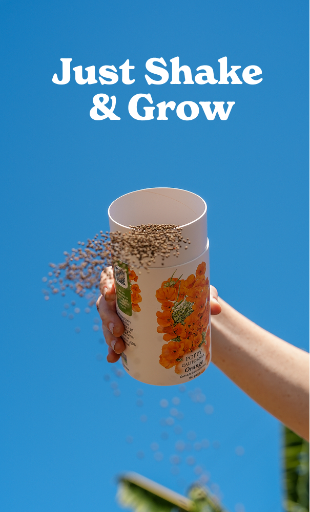 Ad #1