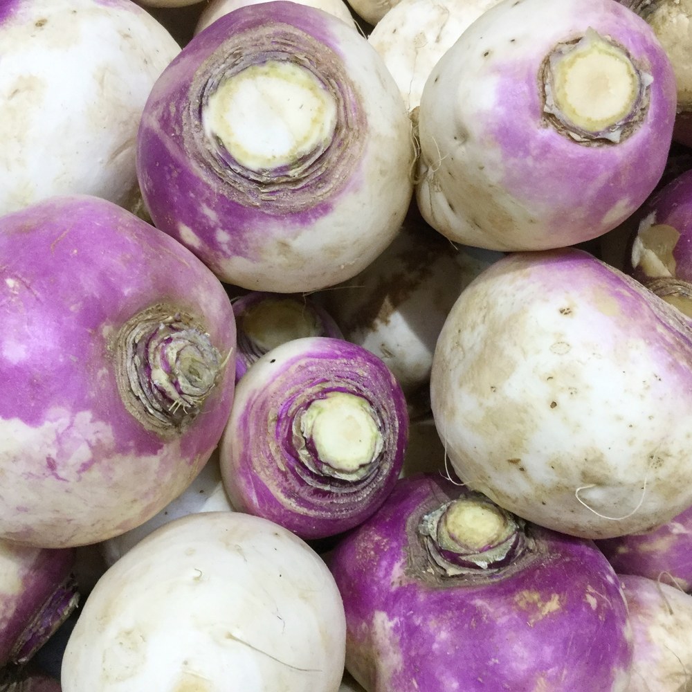 American Purple Top Rutabaga Seeds