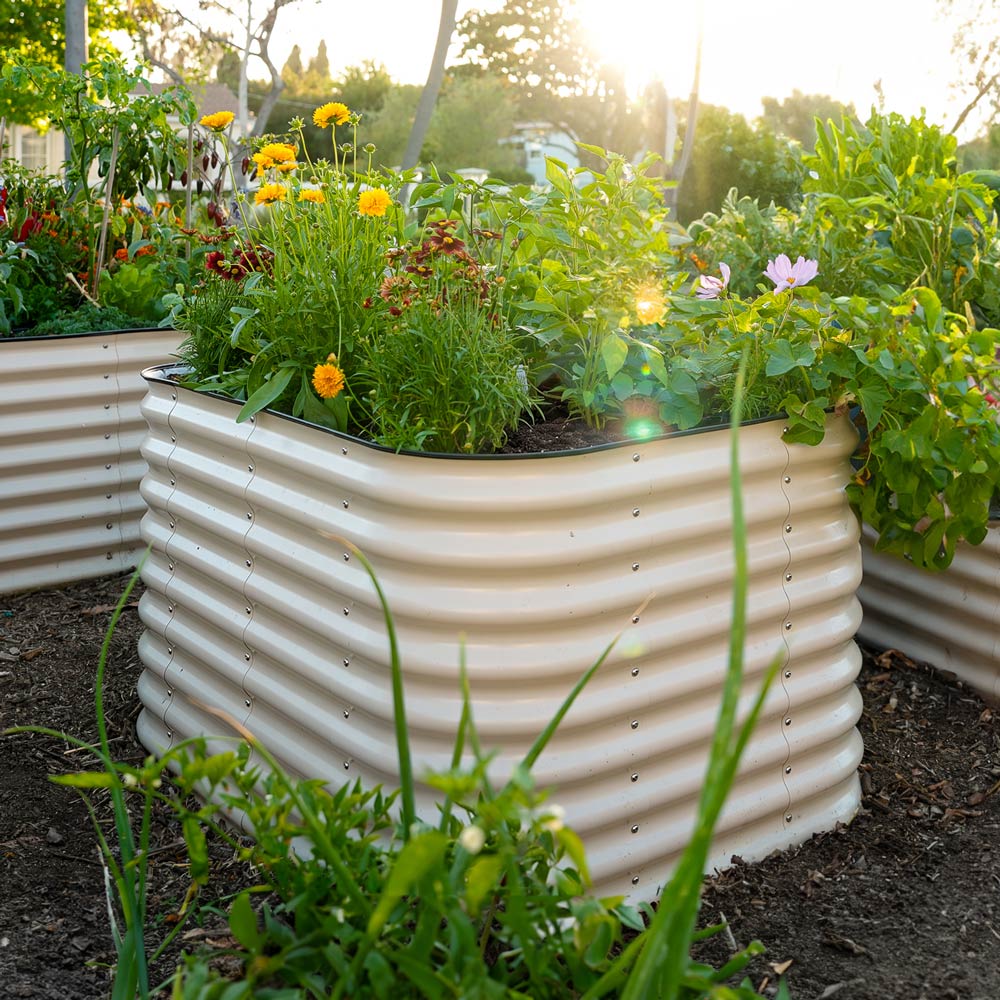 4-Pack Medium Modular Metal Raised Garden Bed - 29 Tall