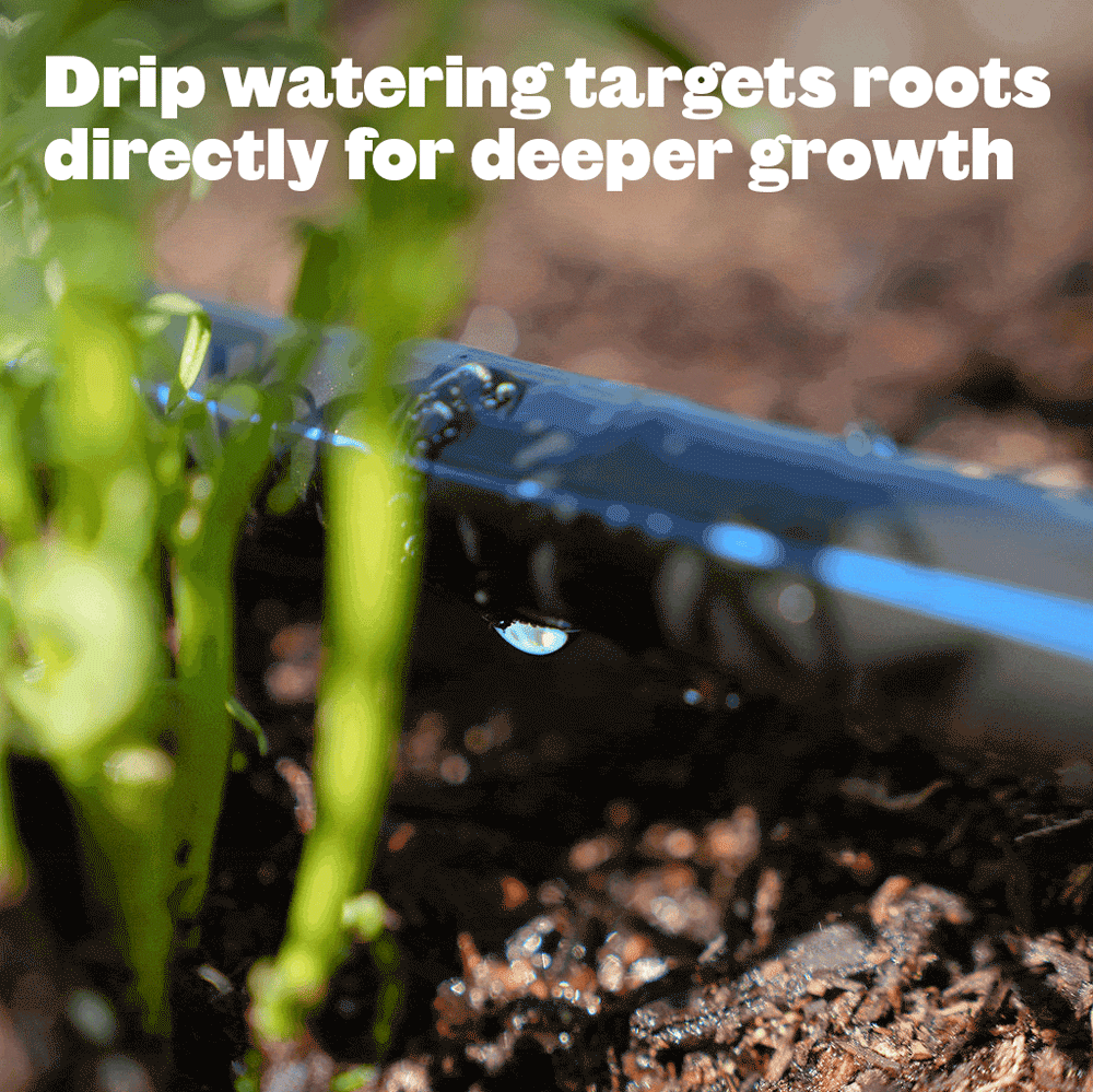 Epic Garden Watering System: Starter Kit