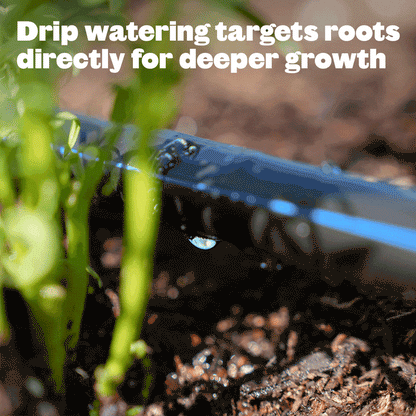 Epic Garden Watering System: Starter Kit
